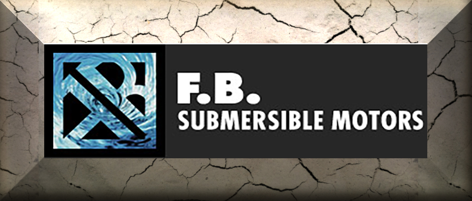 2. F.B. - Submersible Motors & Pumps